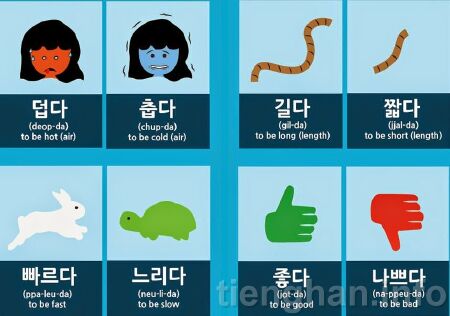 Luyện tập từ vựng tiếng Hàn - Học tiếng Hàn bằng hình ảnh 